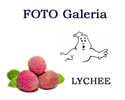lychee